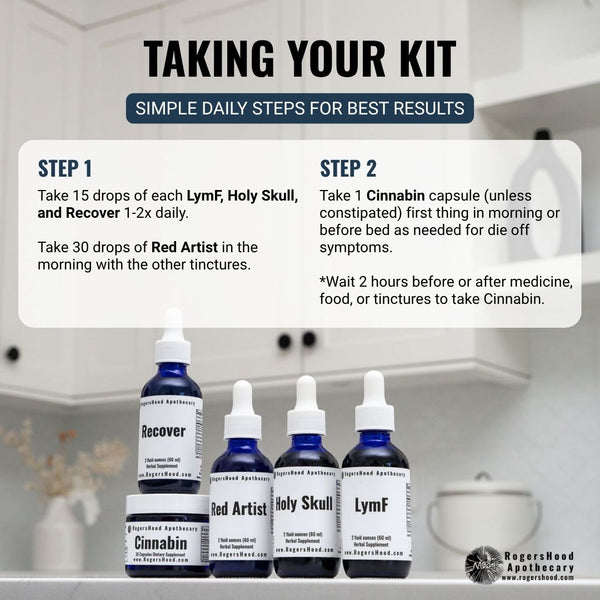 The Mushies Wellness Kit