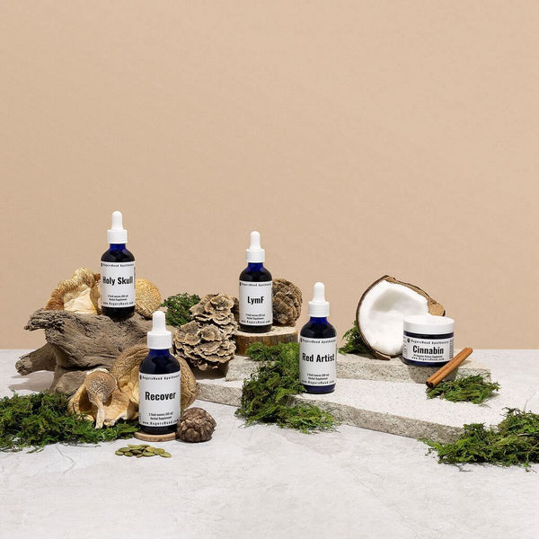 The Mushies Wellness Kit