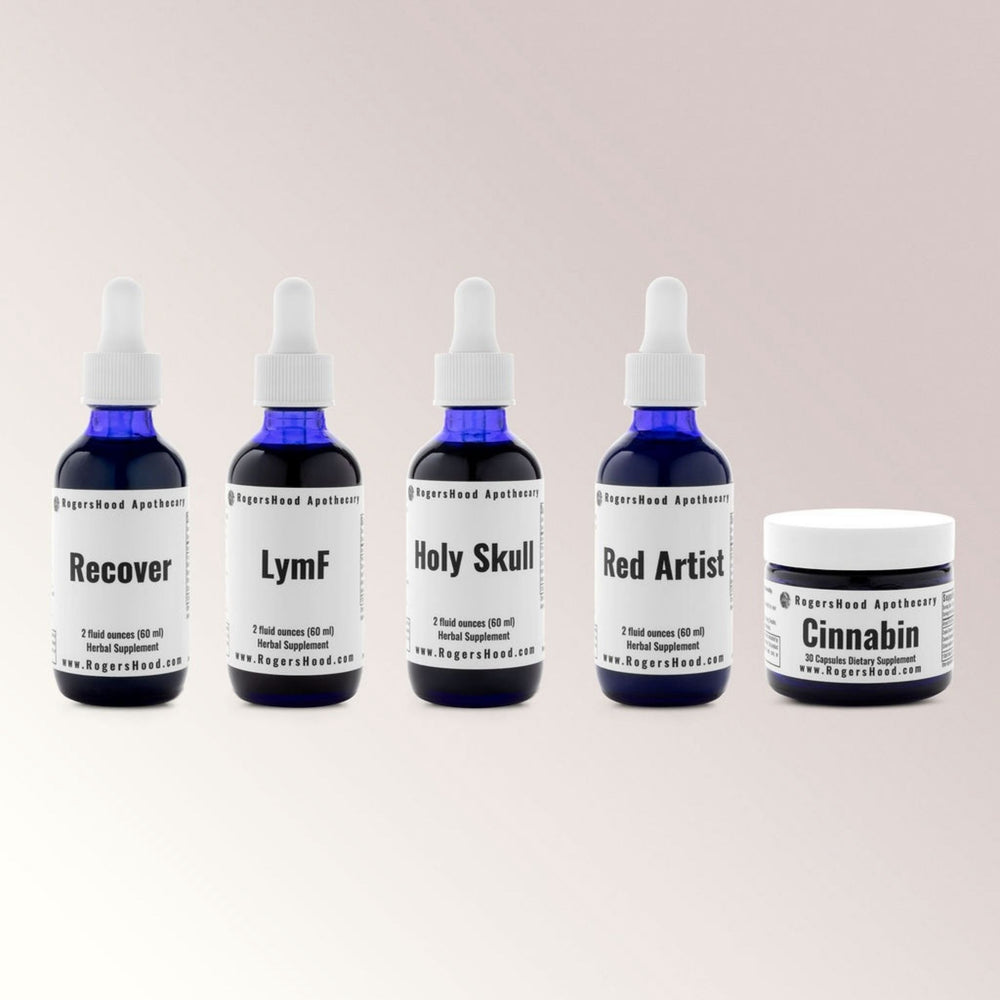 The Mushies Wellness Kit